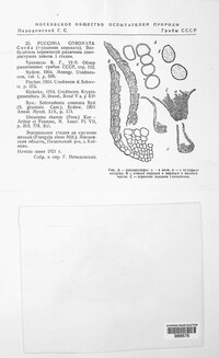 Puccinia coronata image